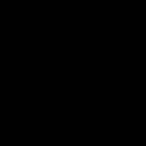 Meet your Posher, Kaden